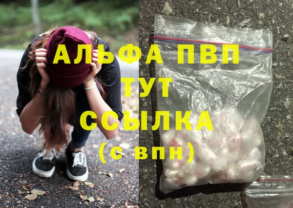 молекула духа Белоозёрский