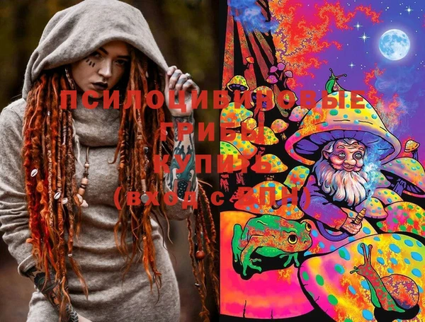 молекула духа Белоозёрский