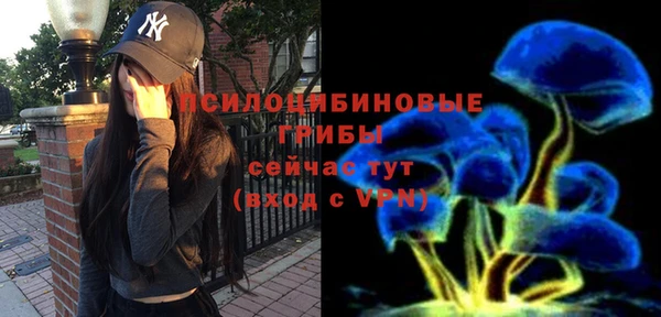 молекула духа Белоозёрский