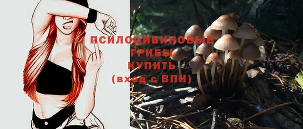 метадон Беломорск