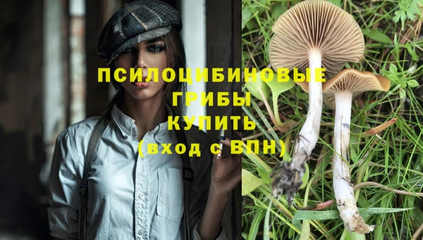 молекула духа Белоозёрский