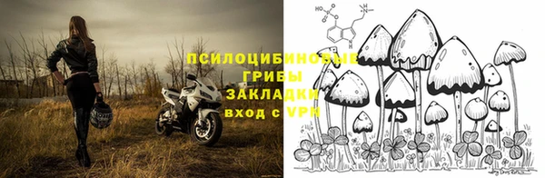 молекула духа Белоозёрский