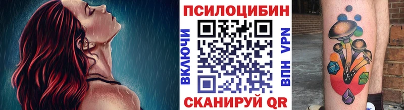 Галлюциногенные грибы Psilocybe  omg как войти  Велиж 